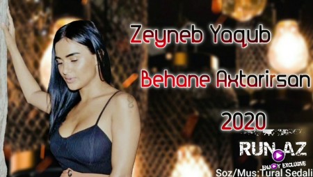 Zeyneb Yaqub - Getmey Ucun Behane Axtarirsan 2020